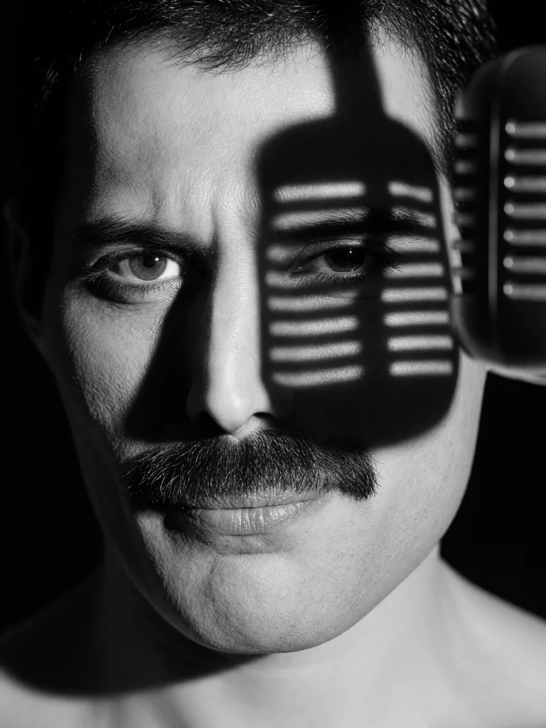 Freddie Mercury — L’Ombre du Micro — Tableau Noir et Blanc