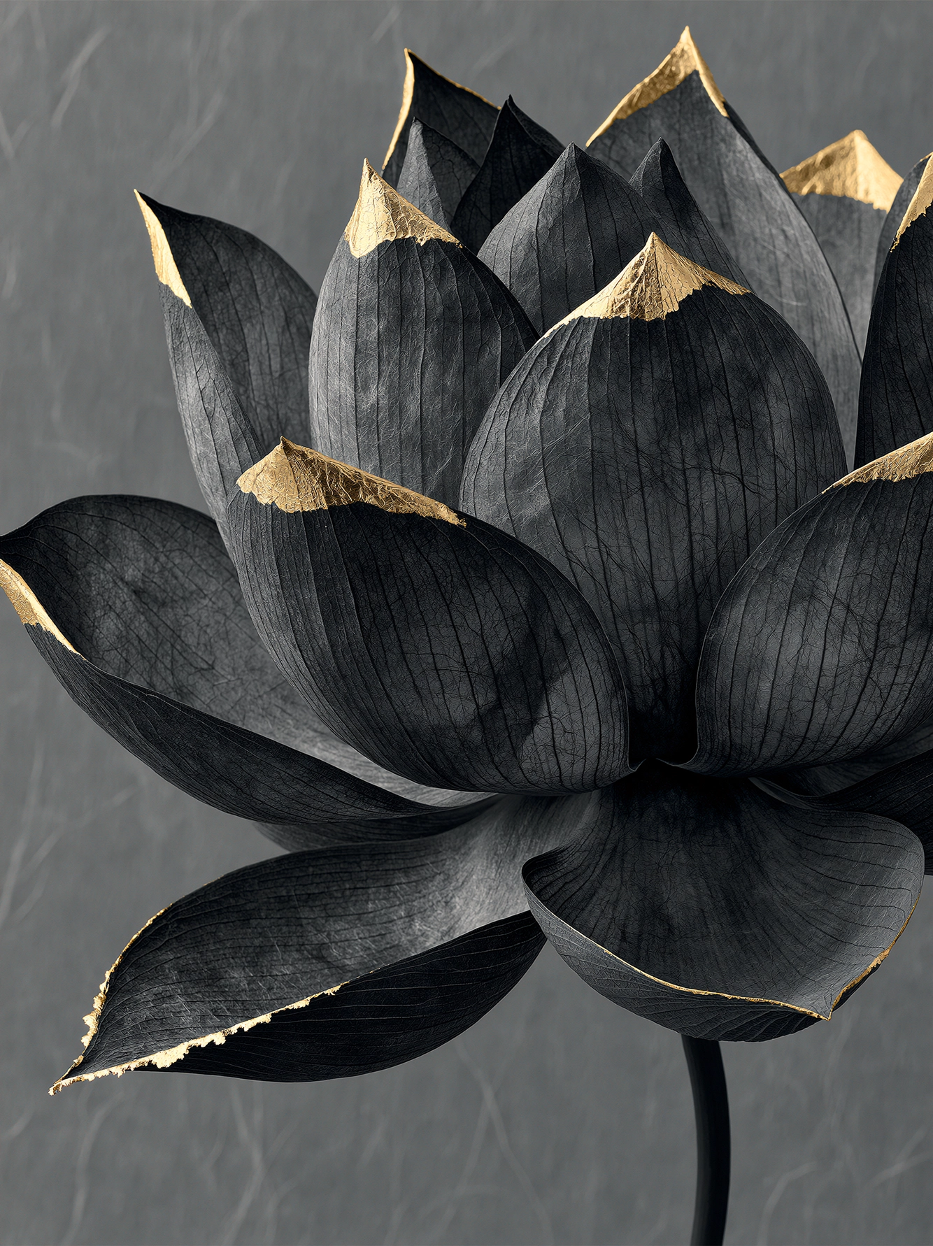 Lotus Noir — fleur de lotus contemporaine en noir profond et accents dorés, art mural premium