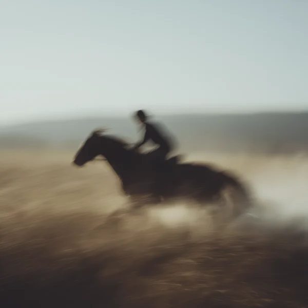 Tableau galop en mouvement — cheval lancé dans l'effort, vitesse et poussière, art mural premium