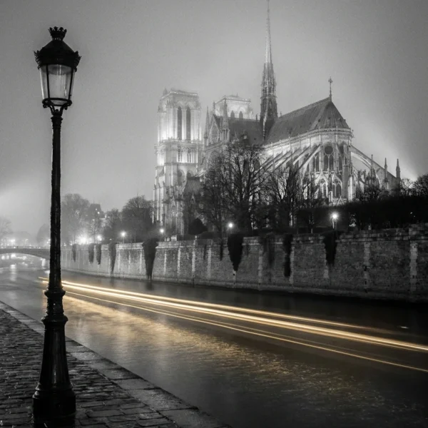 Paris Notre-Dame & Berges de Seine — Tableau Nocturne Poétique